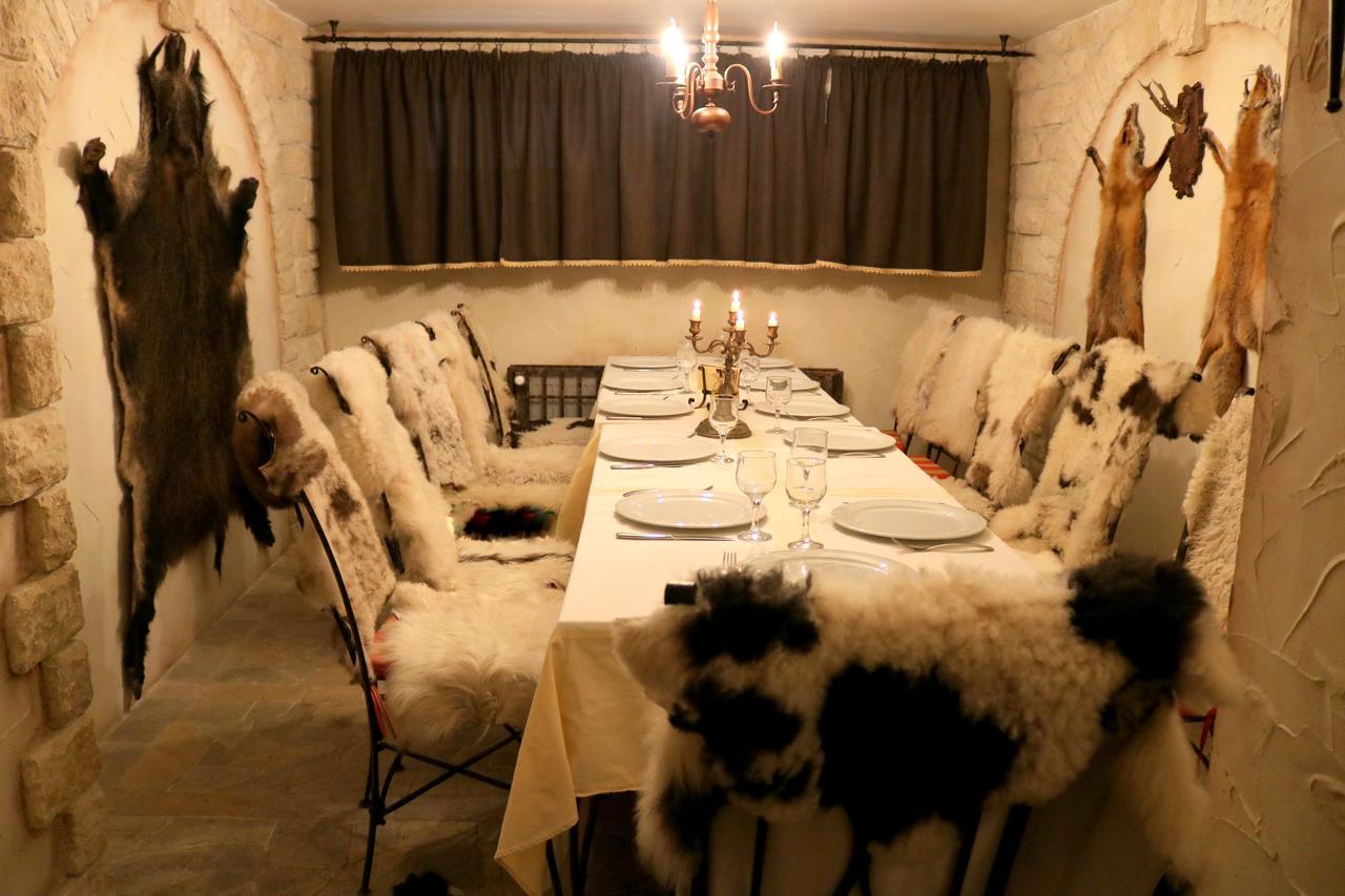 Castel Transilvania Baia Mare Extérieur photo