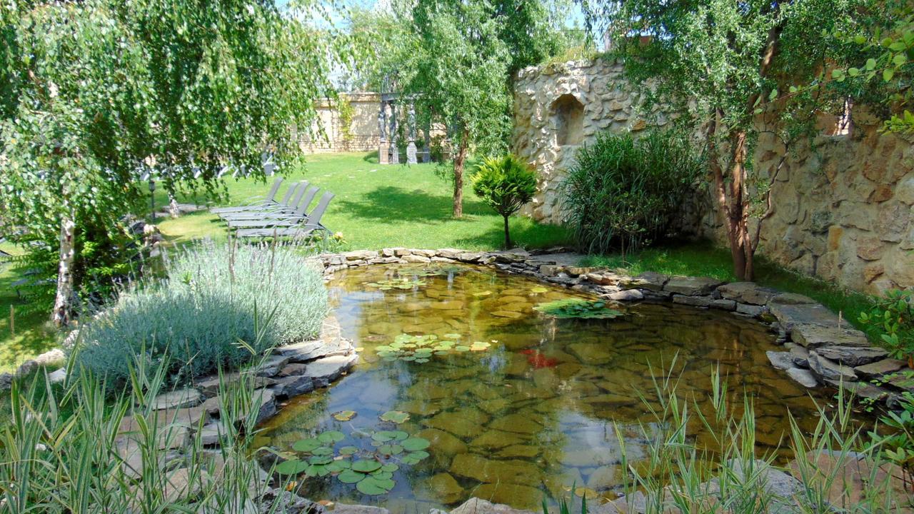 Castel Transilvania Baia Mare Extérieur photo