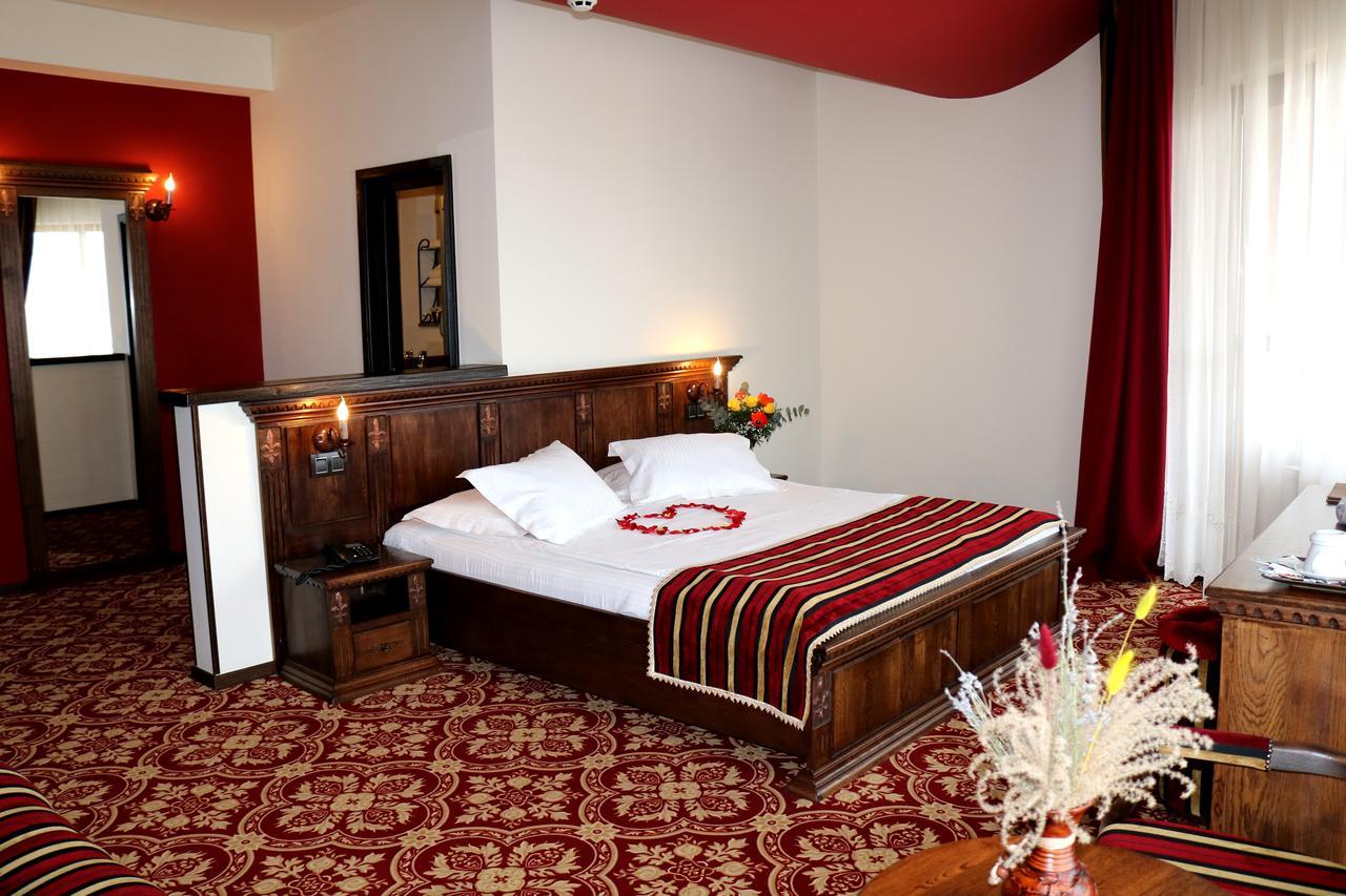 Castel Transilvania Baia Mare Extérieur photo