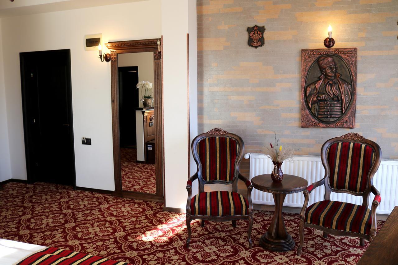Castel Transilvania Baia Mare Extérieur photo