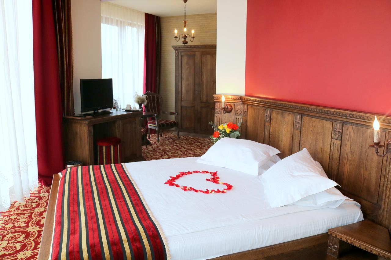 Castel Transilvania Baia Mare Extérieur photo